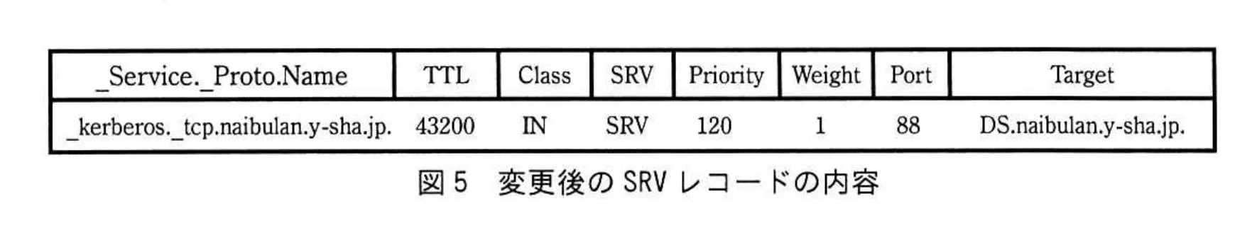 図 5 変更後のSRVレコードの内容